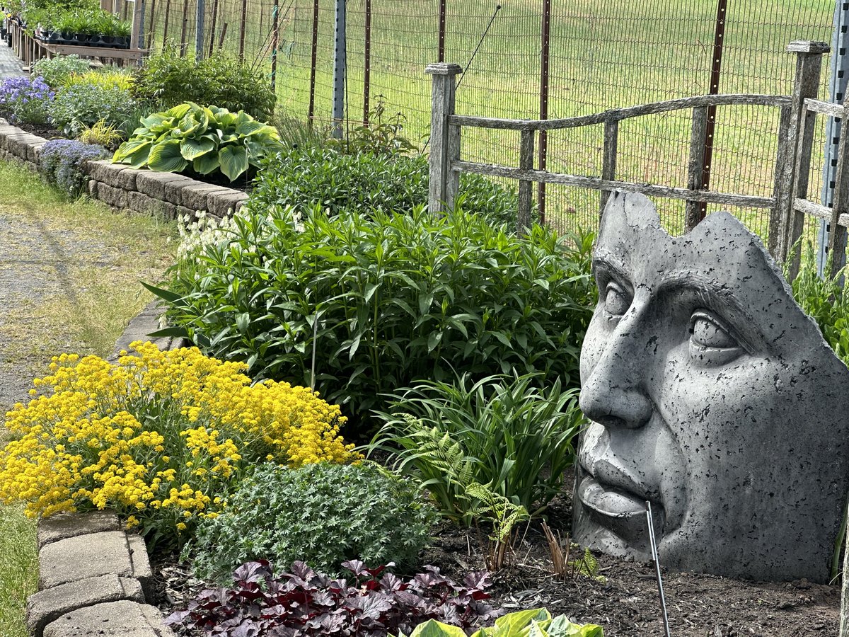 🌿 Have you heard about our VIP Plant Bucks Loyalty Program? 🌿

✅ 20% OFF any single future purchase on joining
✅ Earn points on all purchases
✅ Check your points history &amp; Plant Bucks earnings online anytime
✅ Track your purchase history with ease

hubs.li/Q035FY2q0