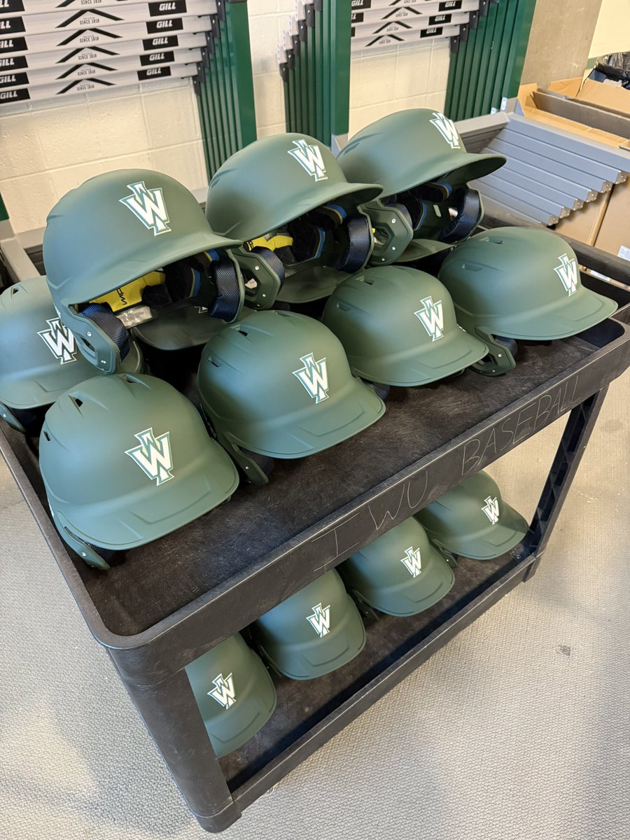 Illinois Wesleyan Baseball tweet media