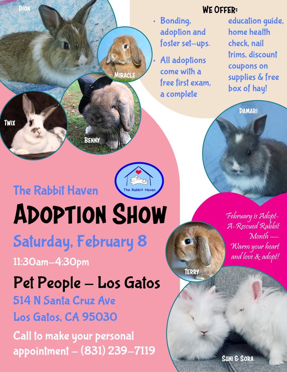 The Rabbit Haven tweet media