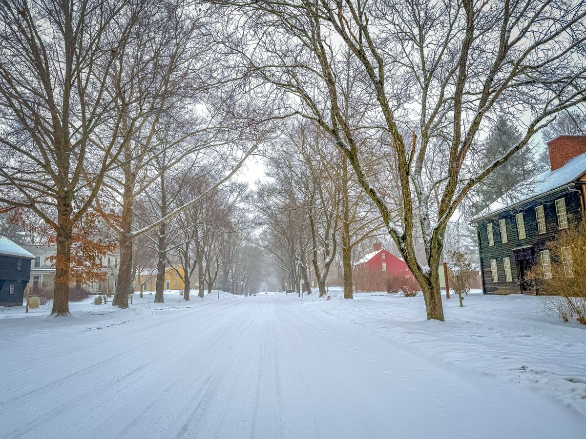 Greetings from snowy Deerfield!