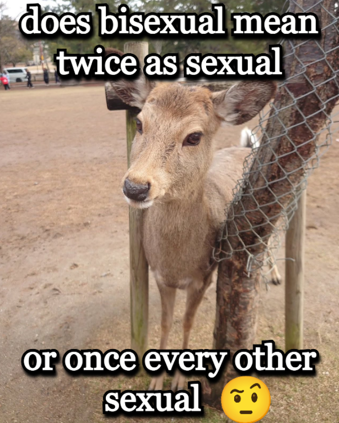 transgendeer (@ciervatonta) on Twitter photo 