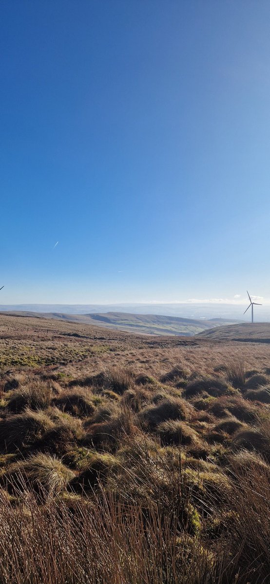 New trail run route today