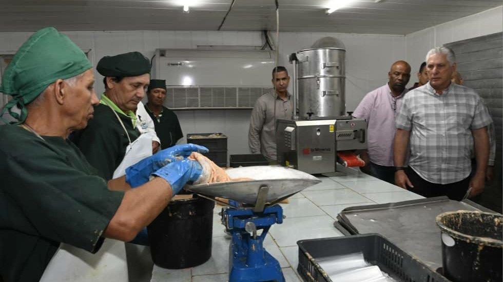 Recorrimos la UEB Acuinicú, perteneciente a la Empresa Pesquera de #Camagüey. Esta entidad se dedica a la captura, industrialización y comercialización de especies de la acuicultura. Con un plan de 1000 t al año. #UnidosXCuba