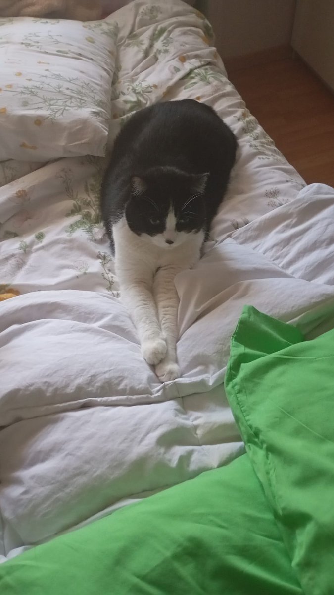 unrotundo's tweet photo. @_nalgotica1 Mi Esfinge gorda https://t.co/cqVALsZyuV