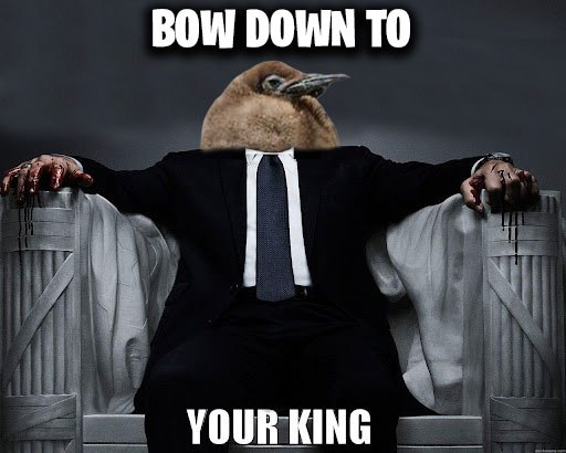 PestoCTO's tweet photo. Bow down https://t.co/P7hp285Ppk