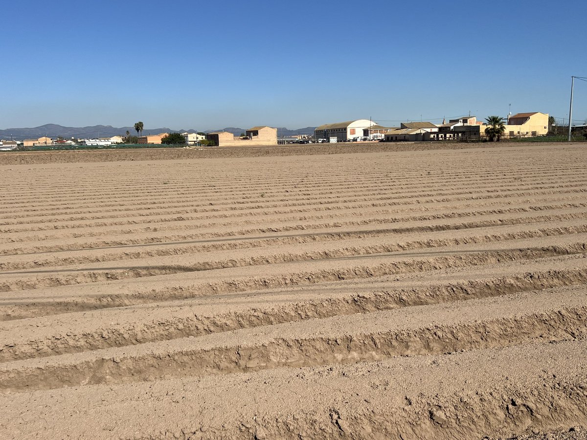 Artemi Cerdà tweet media