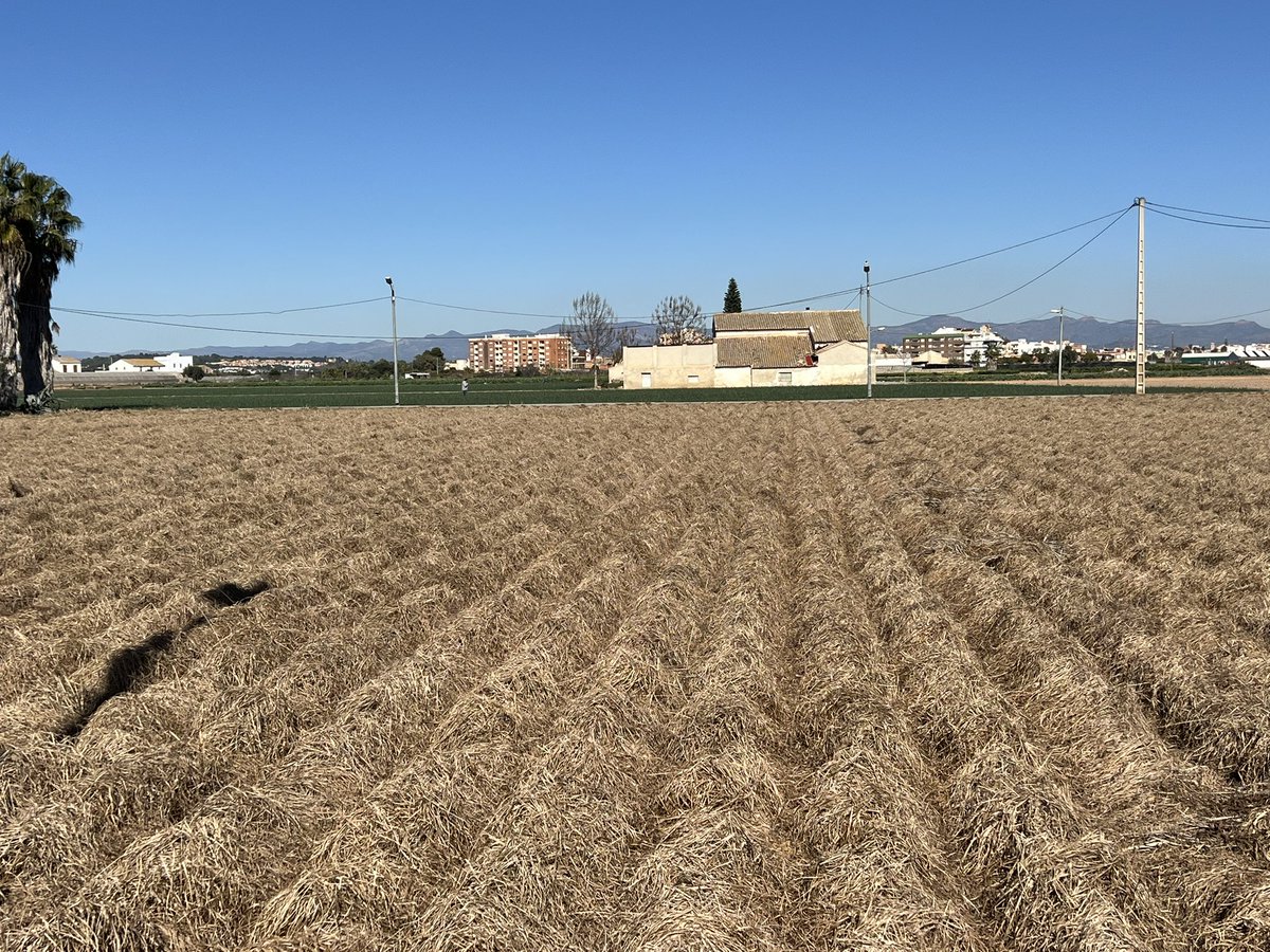 Artemi Cerdà tweet media