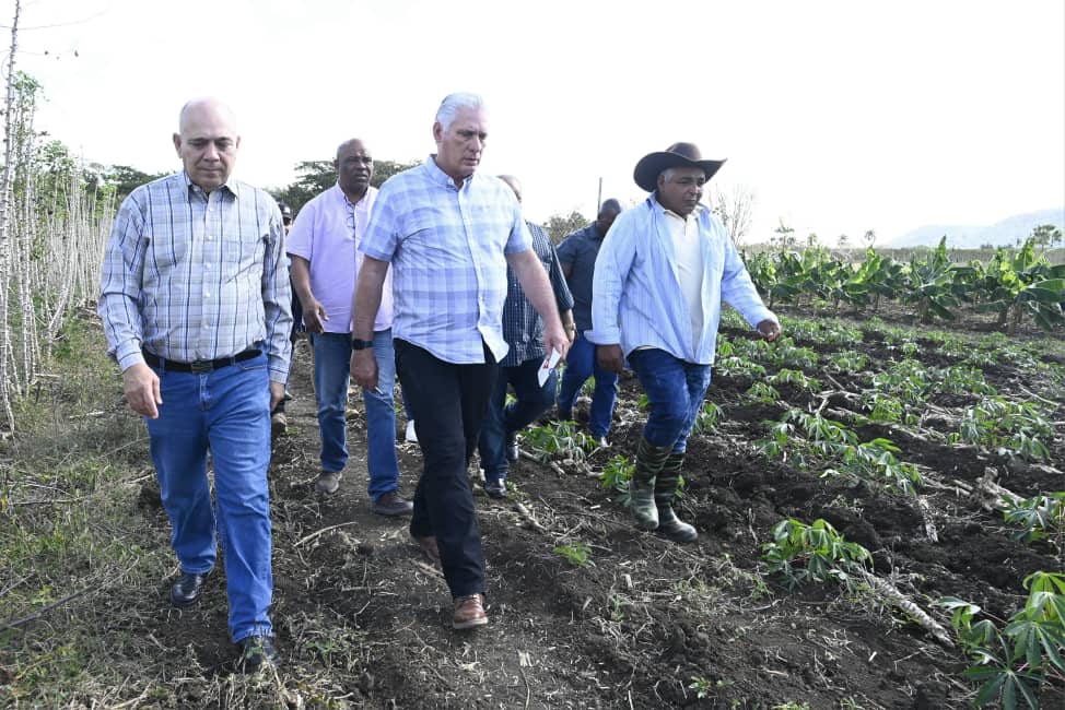 Visitamos también la Empresa Municipal Agroindustrial de #Najasa y dos de sus granjas urbanas. Junto a <a href="/DiazCanelB/">Miguel Díaz-Canel Bermúdez</a> dialogamos sobre la experiencia del  productor Gustavo Ocaña Mejias, quien cultiva, de forma eficiente, 19.4 hectáreas. #UnidosXCuba