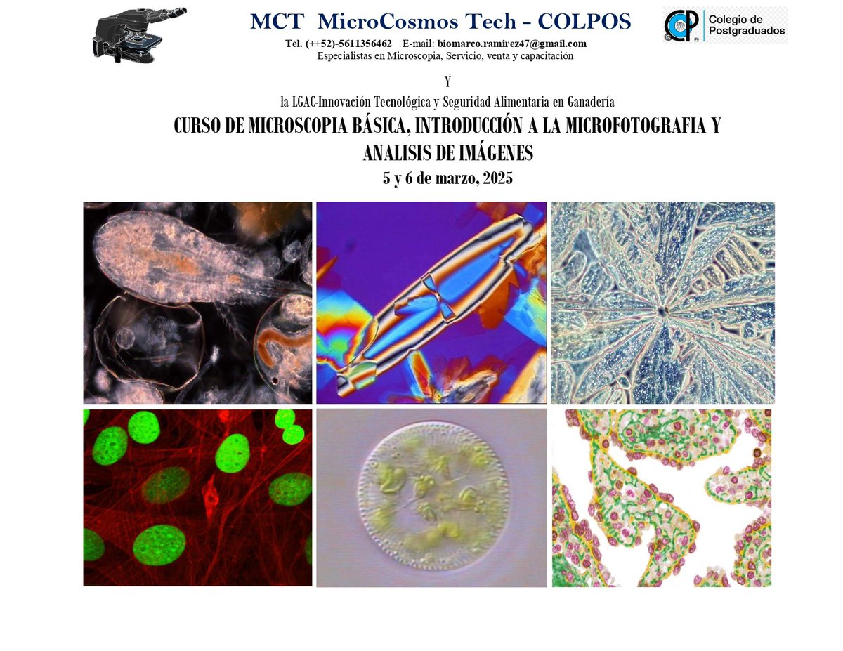 colpos's tweet photo. #INVITACIÓN:  #CURSO DE #MICROSCOPIA BÁSICA, INTRODUCCIÓN A LA #MICROFOTOGRAFÍA Y #ANÁLISIS DE IMÁGENES.
#CAMPUS #MONTECILLO https://t.co/qV1mCQ5XEL