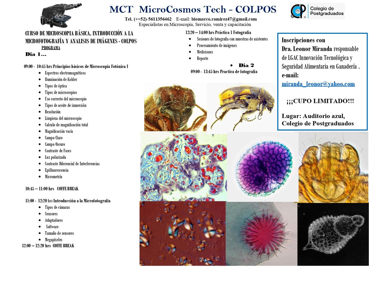 colpos's tweet photo. #INVITACIÓN:  #CURSO DE #MICROSCOPIA BÁSICA, INTRODUCCIÓN A LA #MICROFOTOGRAFÍA Y #ANÁLISIS DE IMÁGENES.
#CAMPUS #MONTECILLO https://t.co/qV1mCQ5XEL