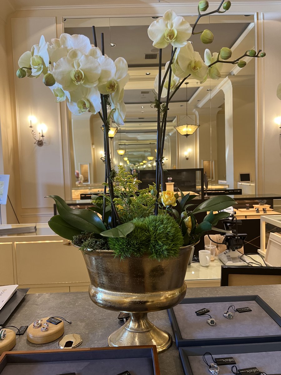 SteinersJewelry's tweet photo. We specialize in diamonds, exotic gems, individualized jewelry, colored gemstones, and engagement rings. We cherish the many relationships we have made throughout the years! Learn more about Steiners at https://t.co/kHogoSZpAI. #jewelry #rings #diamonds #gemstonejewelry https://t.co/IIlophK382