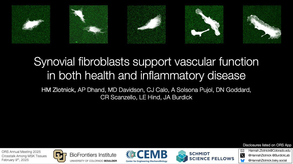 Hannah Zlotnick (@hannahzlotnick) on Twitter photo Looking forward to seeing everyone at #ORS2025! I will be presenting my postdoctoral work in the 'Crosstalk among Musculoskeletal Tissues and Beyond' session. Sunday, 4:25 - 4:35 pm, West 301D.
<a href="/BioFrontiers/">BioFrontiers π»π¦ π§¬π§ͺπ§«πππ</a> @CUOrthoResearch <a href="/SchmidtFellows/">Schmidt Science Fellows</a> <a href="/ORSsociety/">Orthopaedic Research Society</a> Looking forward to seeing everyone at #ORS2025! I will be presenting my postdoctoral work in the 'Crosstalk among Musculoskeletal Tissues and Beyond' session. Sunday, 4:25 - 4:35 pm, West 301D.
<a href="/BioFrontiers/">BioFrontiers π»π¦ π§¬π§ͺπ§«πππ</a> @CUOrthoResearch <a href="/SchmidtFellows/">Schmidt Science Fellows</a> <a href="/ORSsociety/">Orthopaedic Research Society</a>