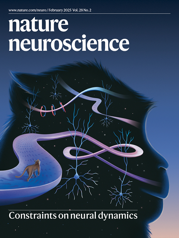 Our February issue is now live!

nature.com/neuro/volumes/…