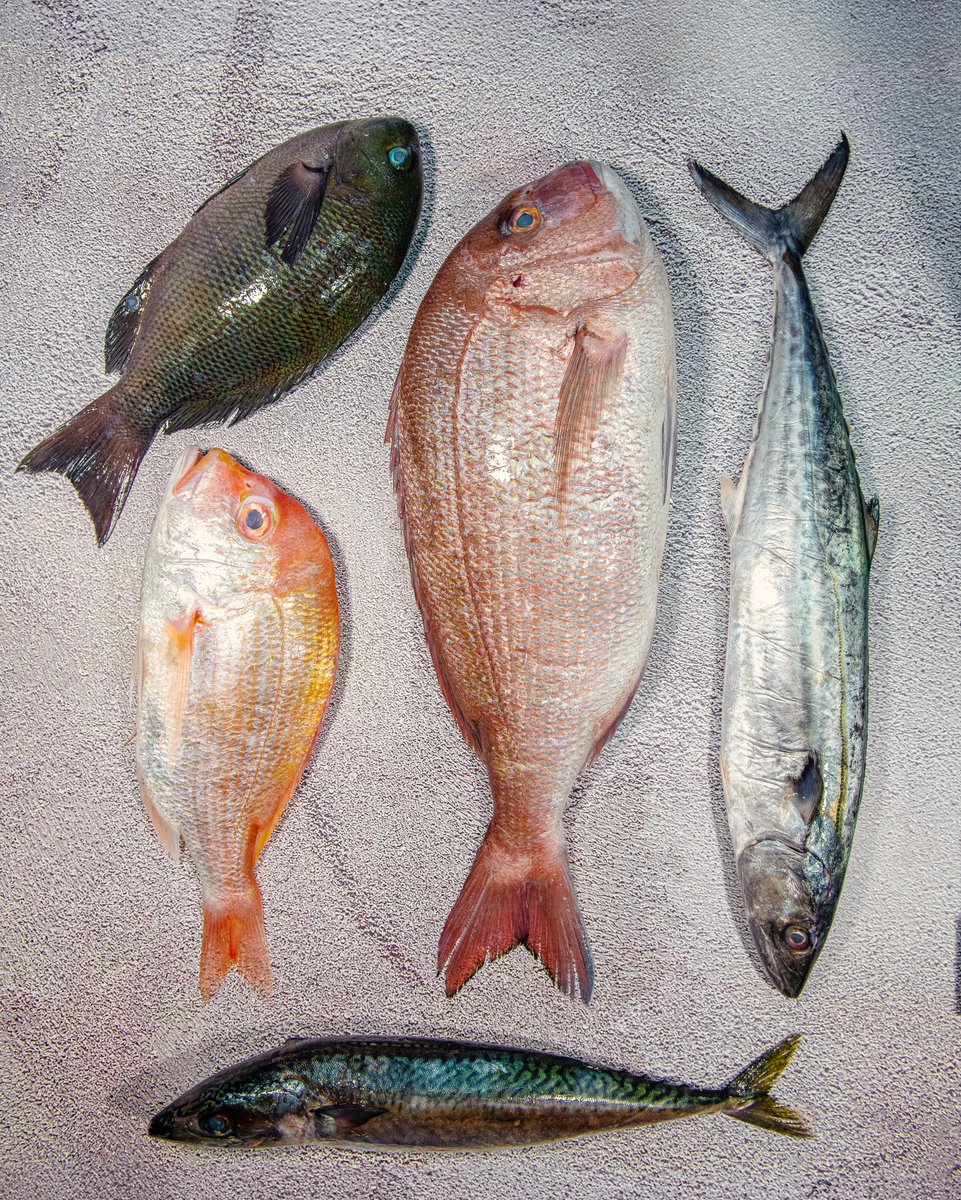 Fresh from the sea to your plate. Our daily fish selections highlight the best of what’s available, prepared with the bold flavors and techniques of Peruvian cuisine. 

Join us at Causa and let us craft something unforgettable. 

#CausaDC #Peru
