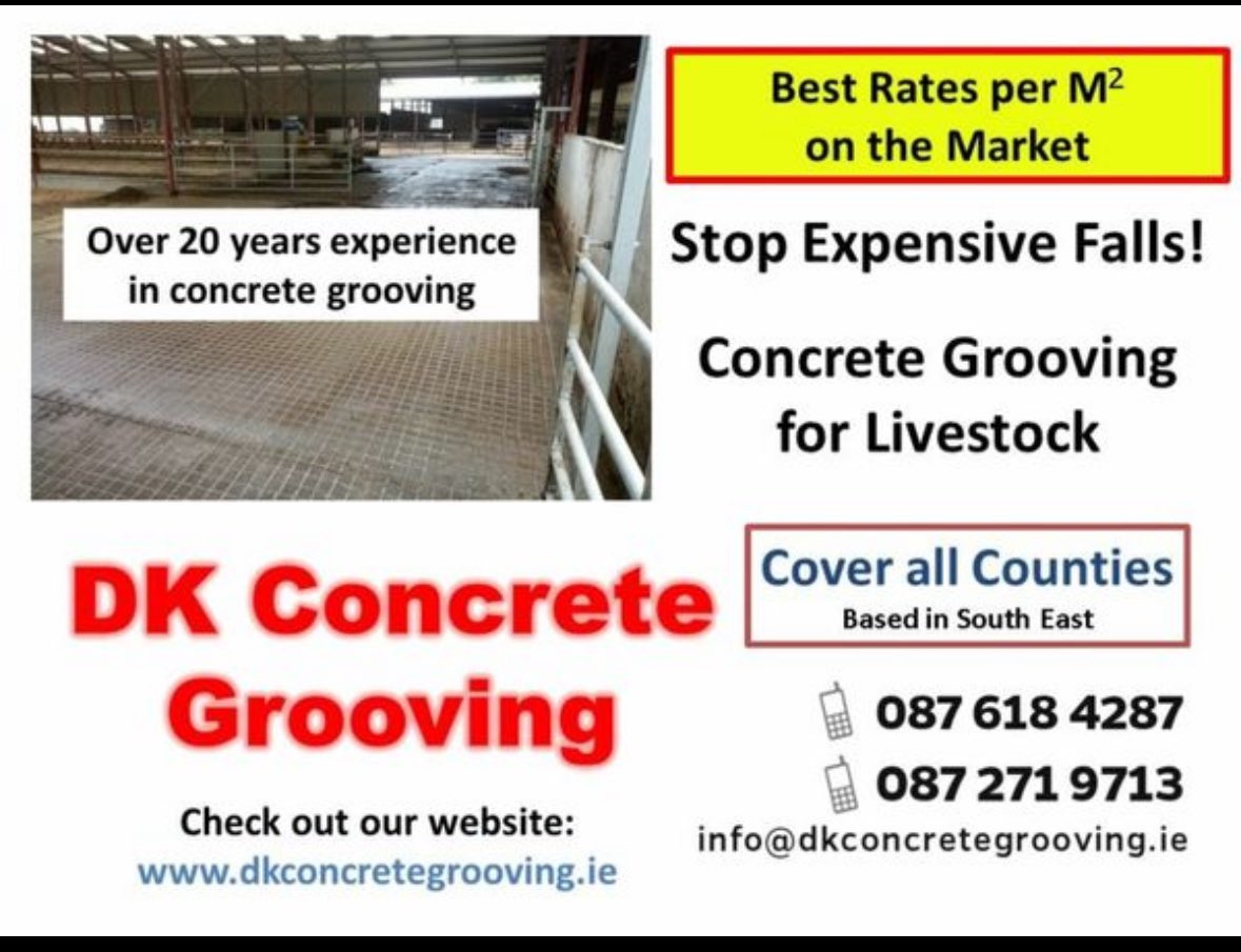 donedeal.ie/dairycattle-fo…