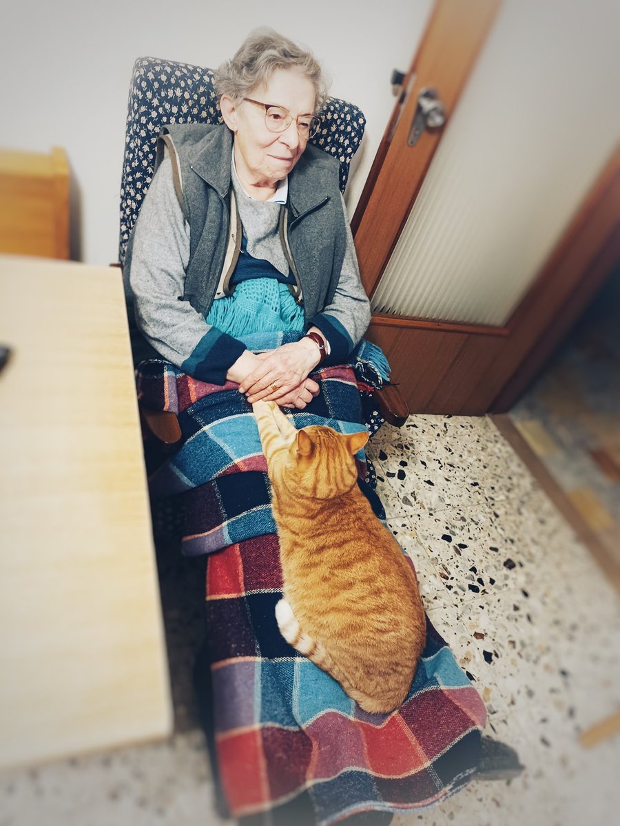 Ginopizza's tweet photo. ✨ Lei non voleva un gatto… ora non può più stare senza! ✨
"Niente #gatti in casa!" diceva. Poi è arrivato lui: uno sguardo, una fusa… ed è finita. Ora la segue ovunque e mia #mamma non può più farne a meno.

La verità? Il gatto sceglie te. 🐱❤️

#CatLover #GattoCheConquista https://t.co/TiXPLD2Nfw