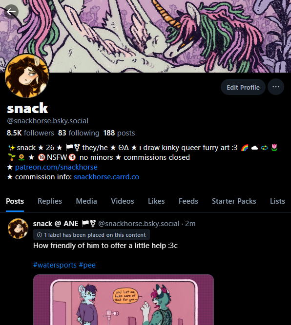 ✸ snack ★ on bluesky now ✸ tweet media