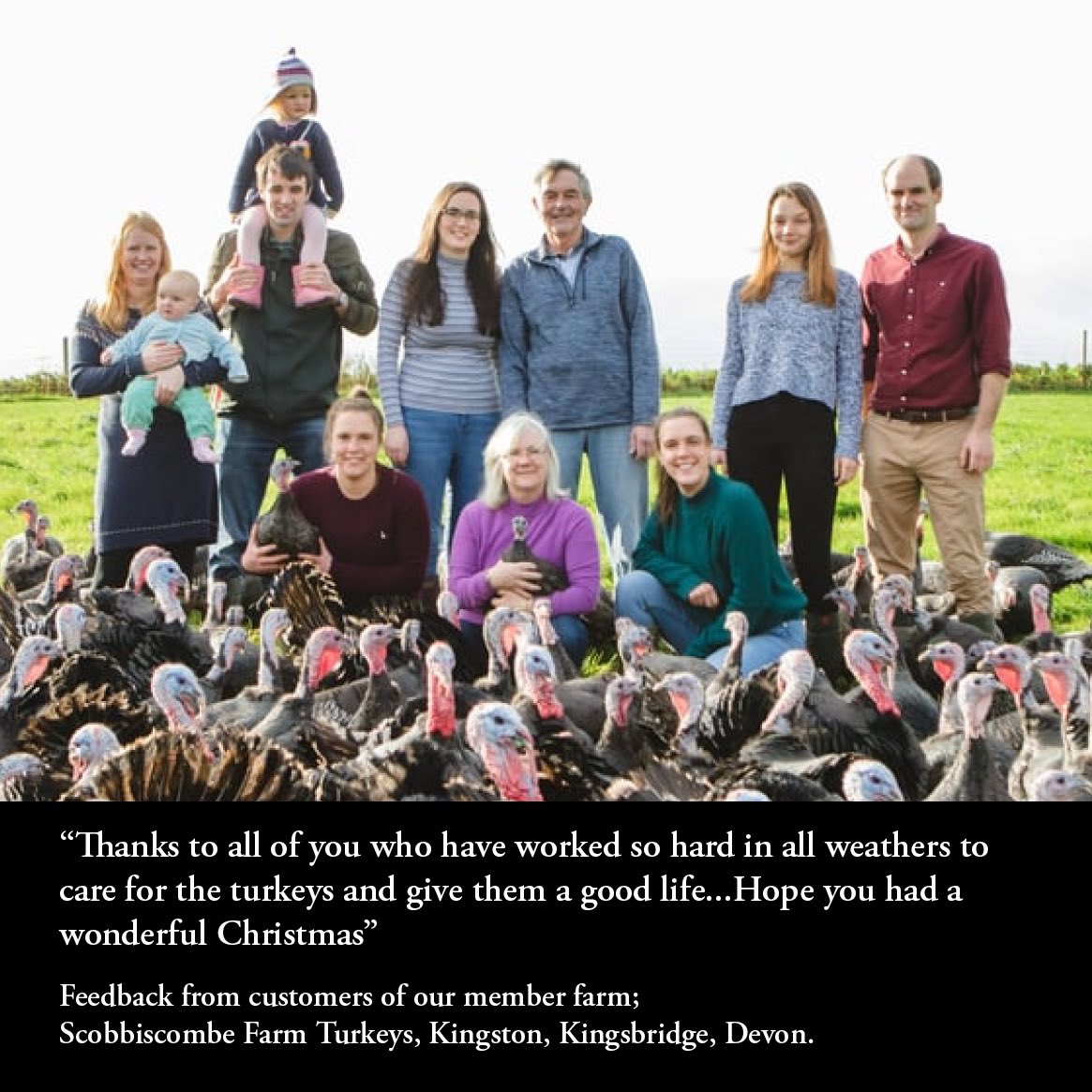 Our accredited turkey farmers have received amazing feedback from their customers.
Here’s one fr #Scobbiscombeturkeys in Kingsbridge, Devon.
If you enjoyed your Christmas turkey (from a Golden Turkey farmer or stockist)- please share your feedback with us! It means so much!🦃🎄