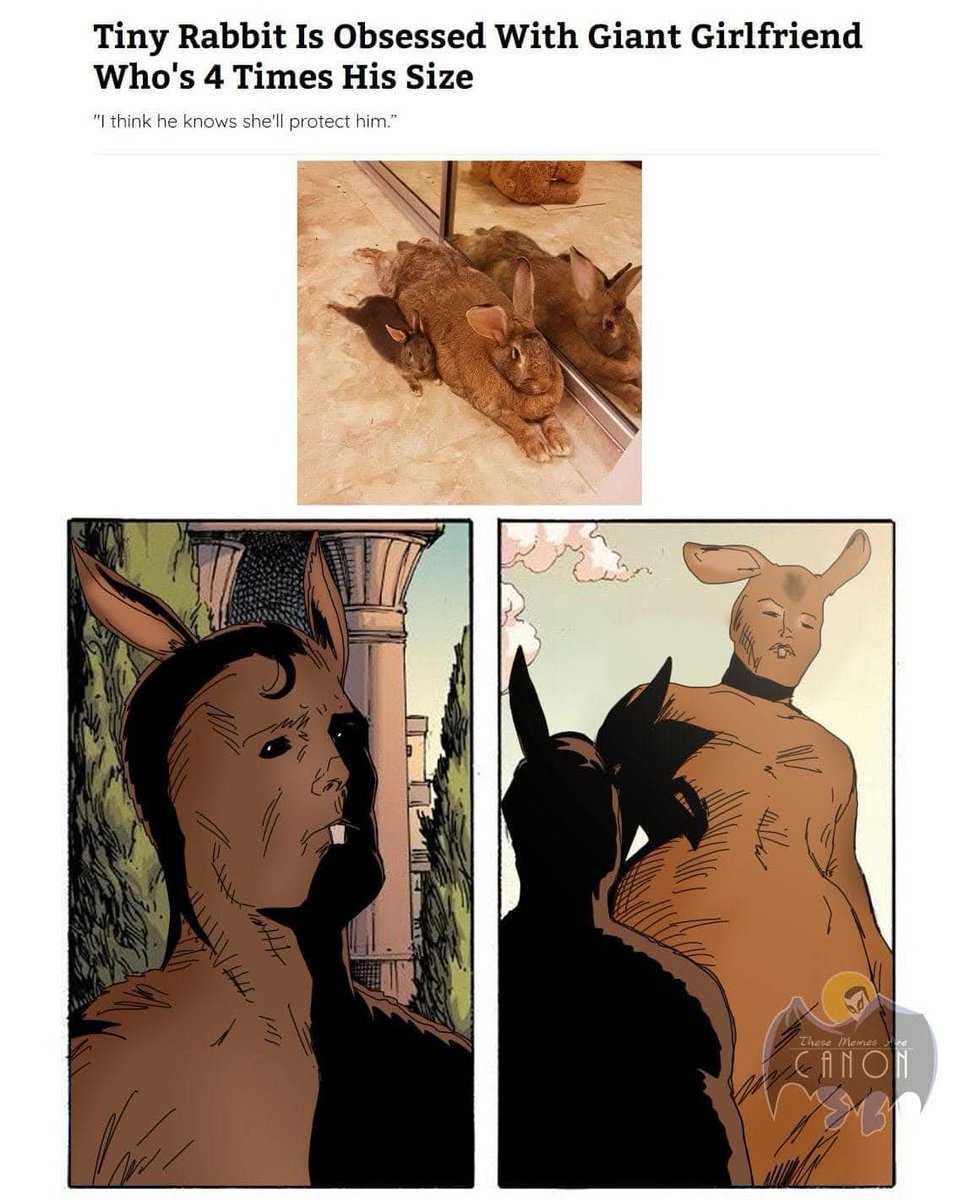 Mjolnir1000's tweet photo. La @OneBunnyQueen al conejito "Fui diseñada específicamente para destruirte" 
El conejito "Ya estaba excitado chiquistrikis, no era necesario más sabrosura" https://t.co/WyVGtd8ZBL