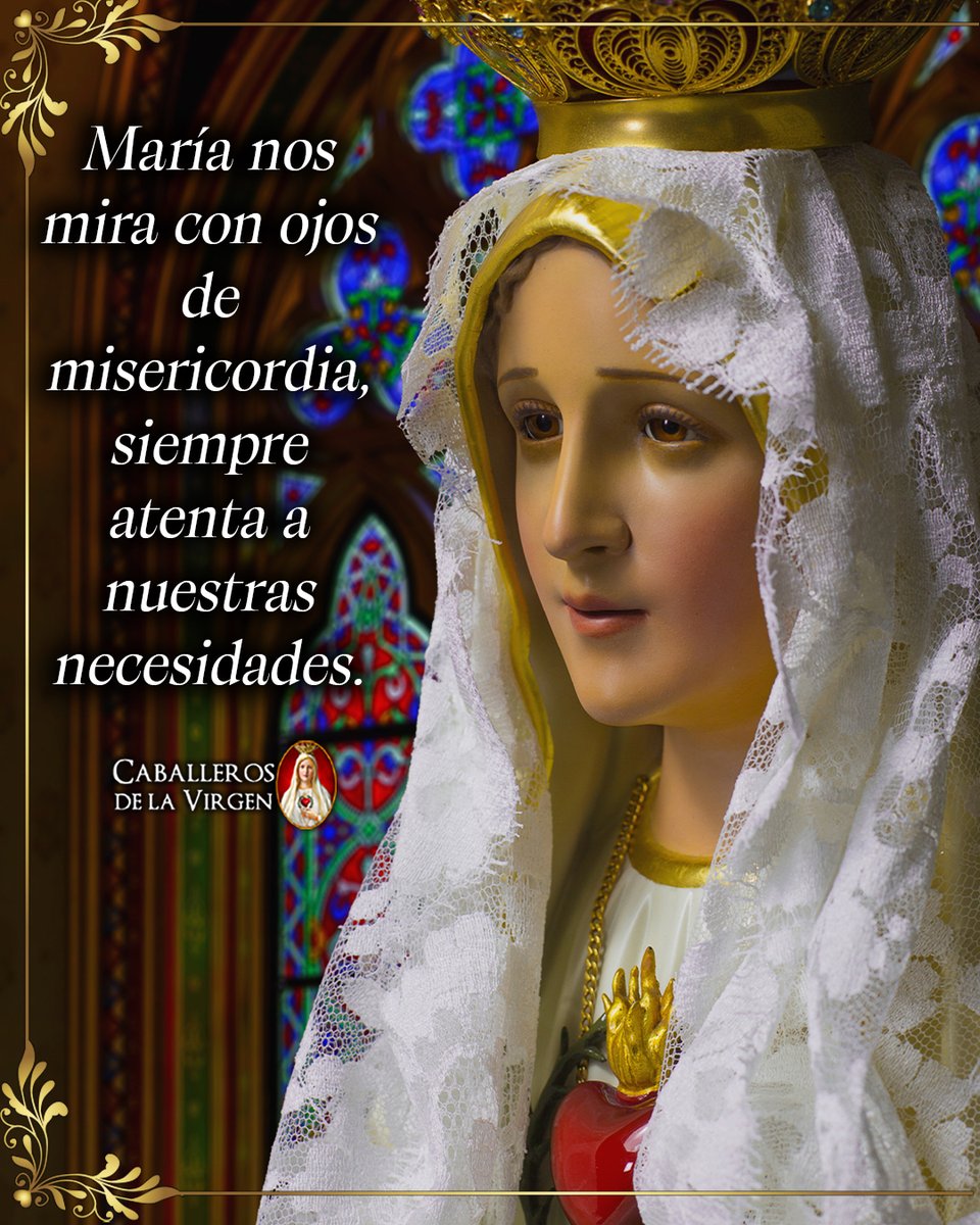 Caballeros de la Virgen tweet media