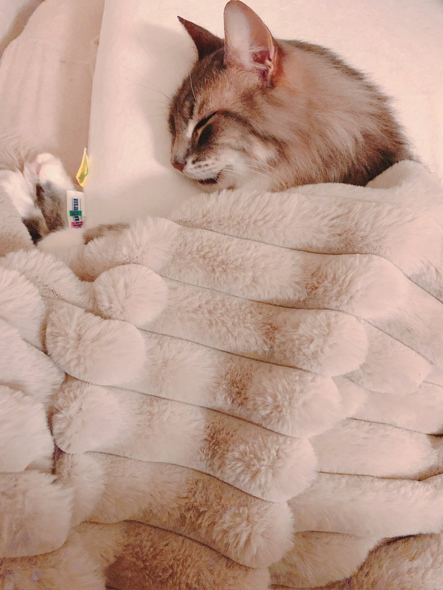 すやり