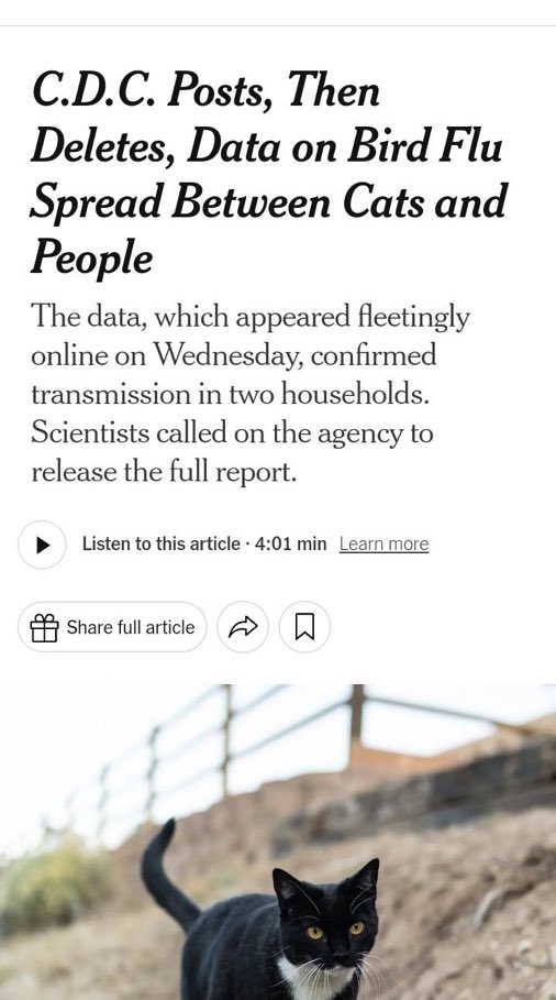 https://pbs.twimg.com/media/GjJ-VNXXMAAkXZk?format=jpg&amp;name=medium