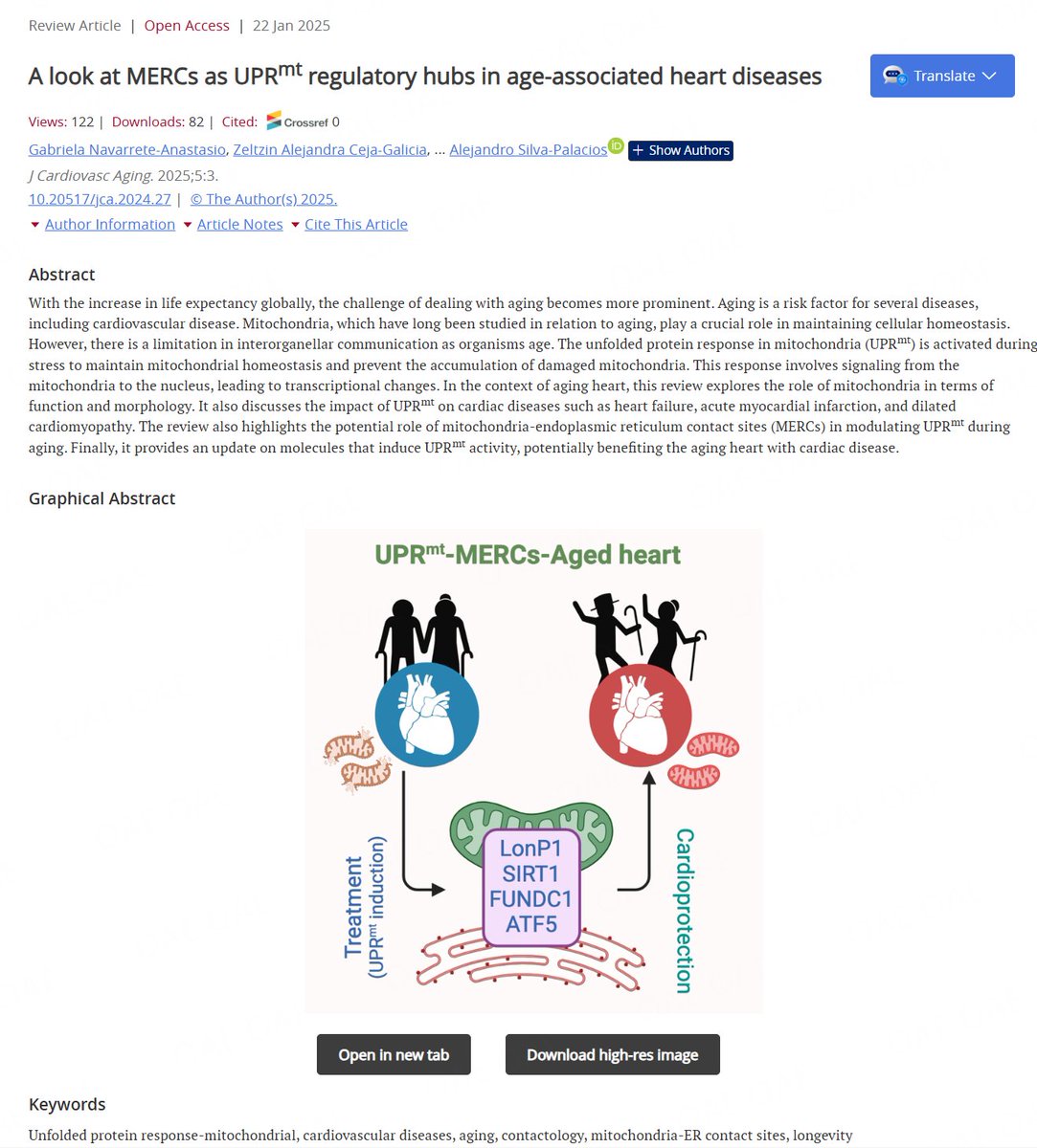Call for Reading:

"A look at MERCs as UPRmt regulatory hubs in age-associated heart diseases"
oaepublish.com/articles/jca.2…