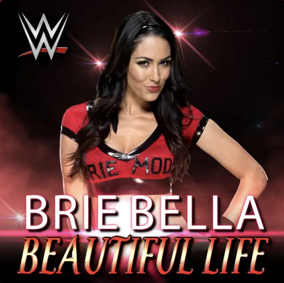 xo_abelle's tweet image. YALL COULD NEVER CONVINCE ME THAT HER TITANTRON WAS ASS. IM MOVING LISTENING TO IT RN. 

#BrieMode #WWE #BrieBella