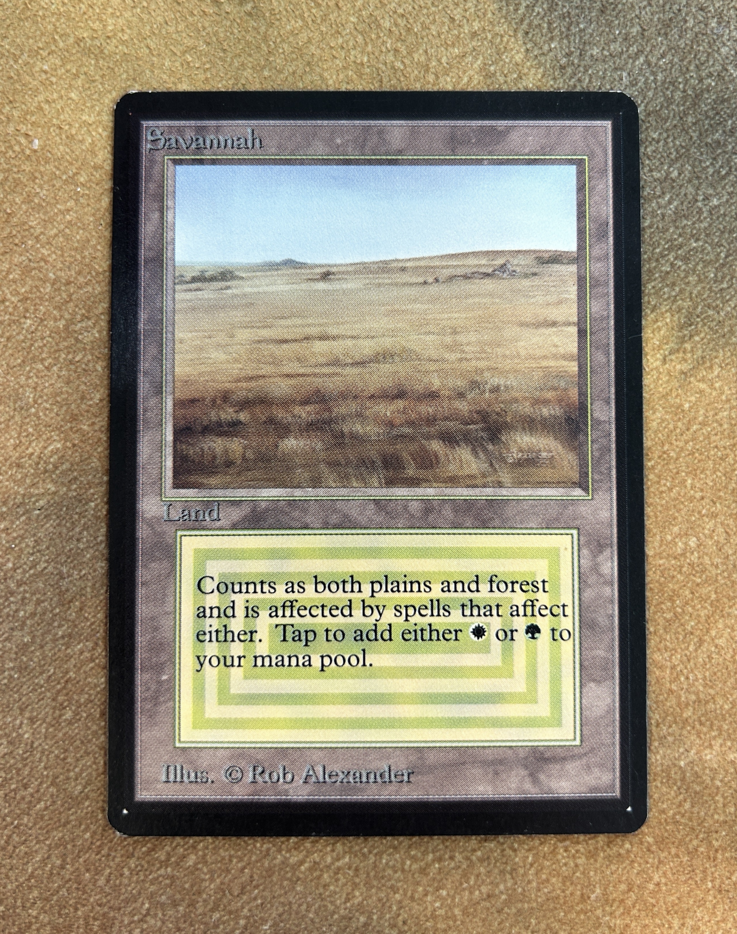 断捨離】MTG savannah 4枚 マジック：ザ・ギャザリング