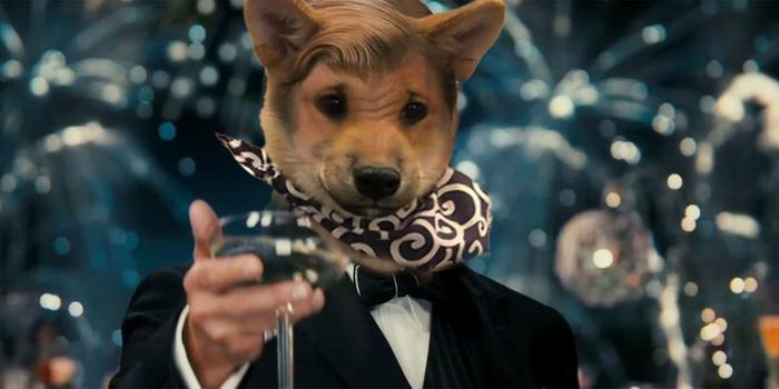 dogwifscarf tweet media