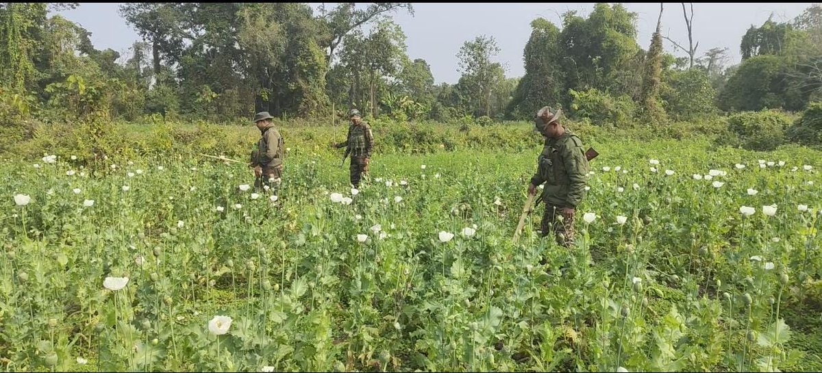 official_dgar's tweet image. ASSAM RIFLES CONDUCTS ANTI-OPIUM DRIVE IN SOUTH ARUNACHAL PRADESH
#AssamRifles alongwith Central Bureau of Narcotics, CRPF and Arunachal police is carrying out a large-scale Anti-Opium Drive in South Arunachal Pradesh’s Namsai District, Arunachal Pradesh. Over 180 hectares of…