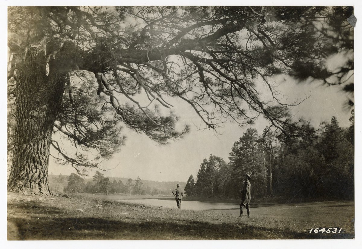 National Archives at Riverside tweet media