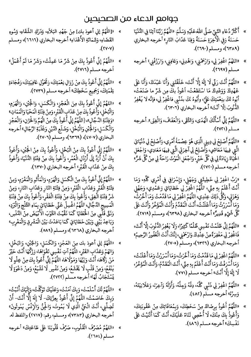 منبه الحوقلة tweet media