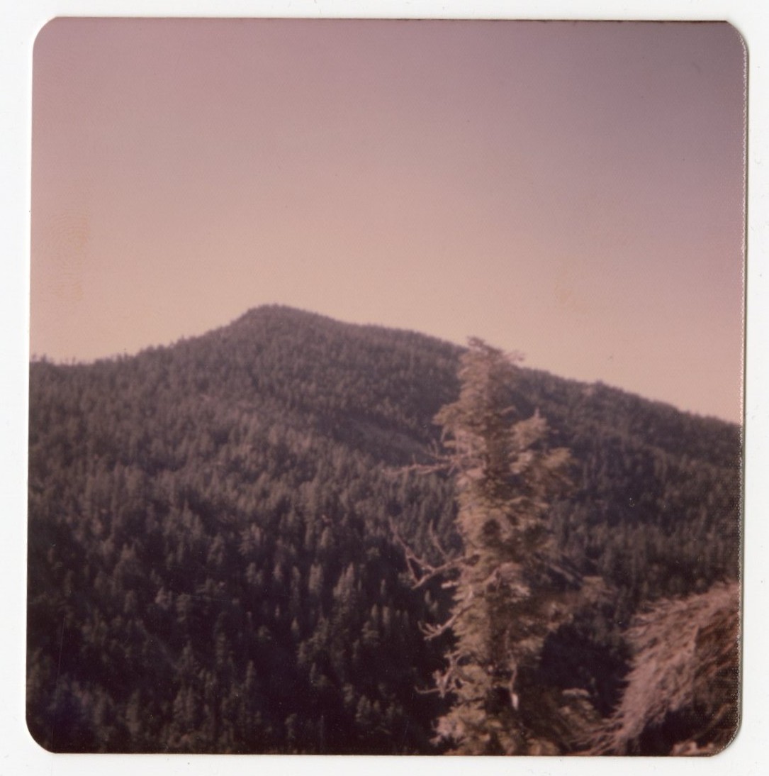 National Archives at Riverside tweet media