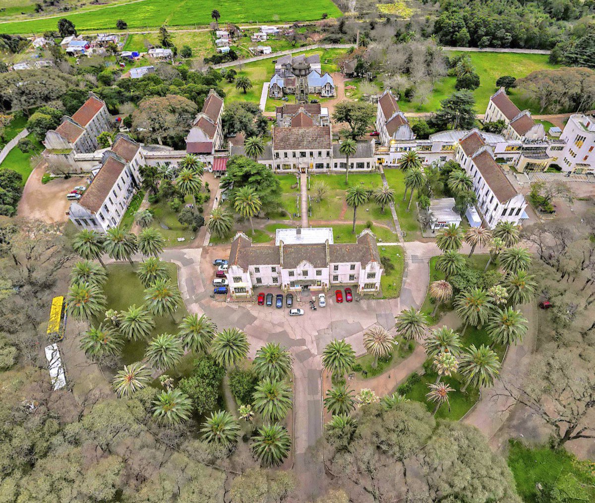 gerardo_equitec's tweet photo. Ataque del picudo rojo en las palmeras del Hospital Saint Bois de Montevideo. La primera foto es de agosto 2021, la segunda de febrero 2025.
¿Qué hacemos? ¿Nos quedamos de brazos cruzados? https://t.co/JDxDsvpAcd