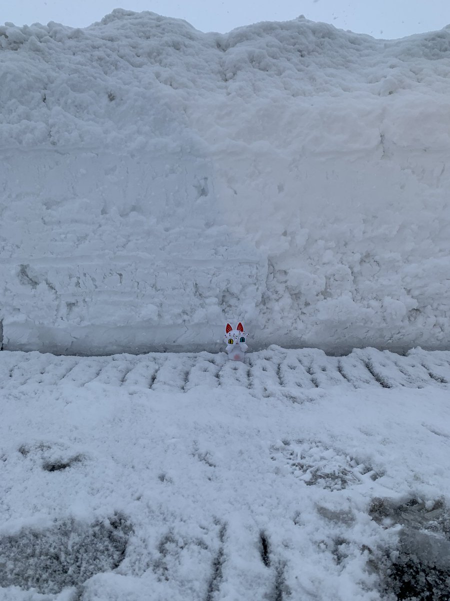 babufe's tweet image. おはようございます😃
今日も除雪からのスタート！❄️

#腰が痛い
#除雪機使ったけど