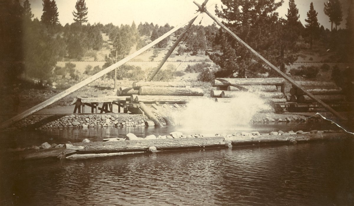 Logging Station at Floriston, CA

c. 1910