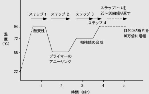 ちなみに最高の作り方は

100度の熱湯が入った鍋と、30度の水のボウルを用意し、卵を2分ごとに熱湯―水―熱湯―……、と移し替えていく。8往復計32分で最高のゆで卵ができるという。

だそうです。PCRから発想したとしか思えないわ。
catalog.takara-bio.co.jp/product/basic_…