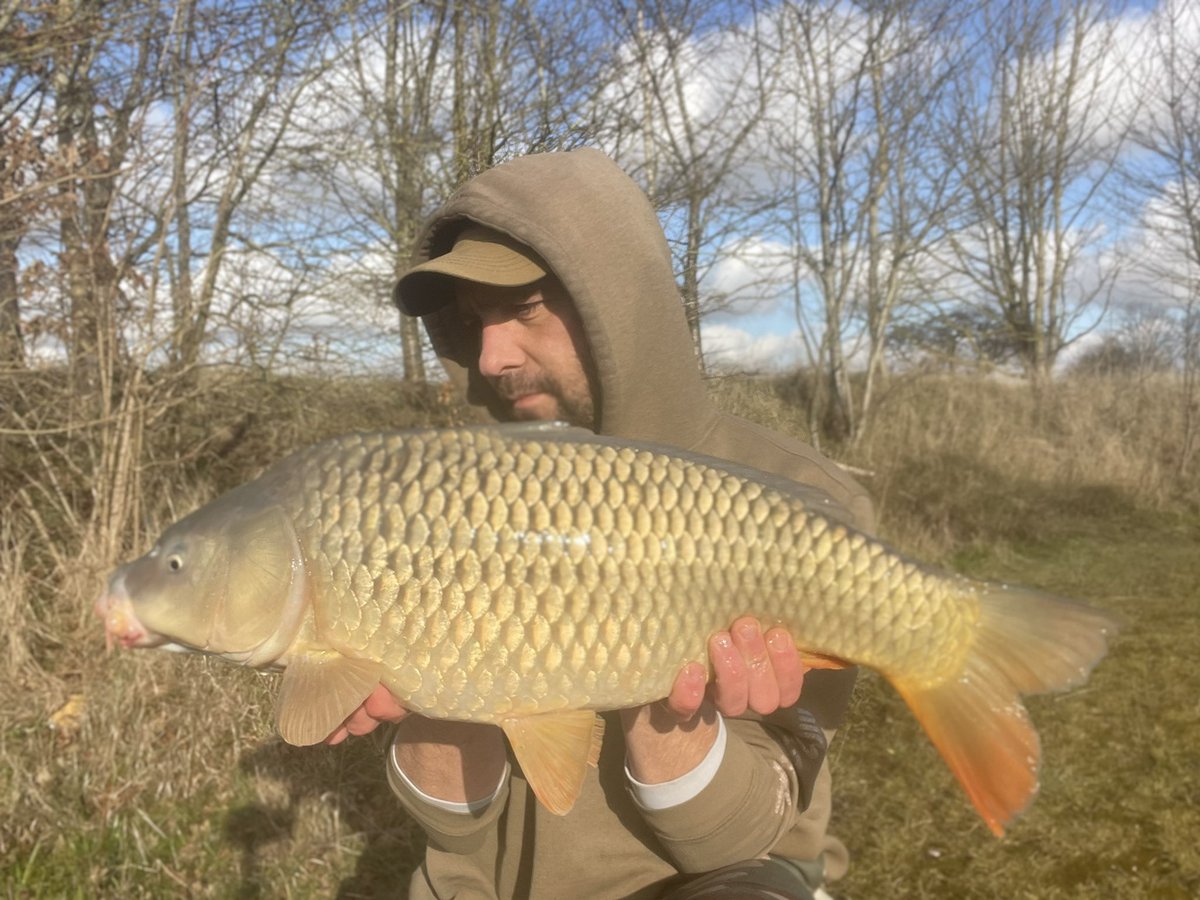 Was worth the physical effort clearing the ice this morning so I could get the rods out. Had this common of 11lb this afternoon proving that #carp can still be caught in winter even if the lakes got a lid on it!

#fishing #carpfishing #winterfishing #icefishing #fishingtrip