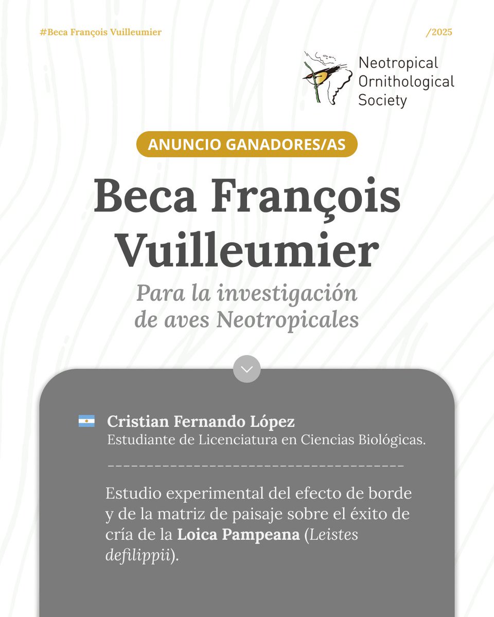 Ornitología Neotropical tweet media