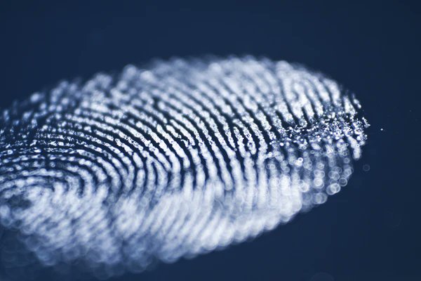DarlingAxe's tweet image. Story Skeleton—Postmortem
Postmortem is a police procedural, which means the focus is on the investigative process from the point of view of law enforcement agencies.
darlingaxe.com/blogs/news/pos…
#plotpoints #storystructure #writingcommunity