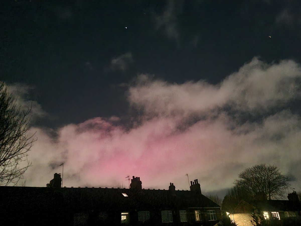 Gina Rayment tweet media