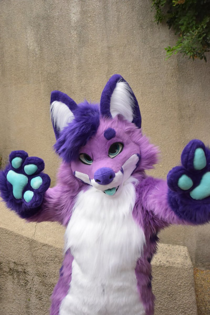 🐺✨Skyehighstudios✨🐺 tweet media