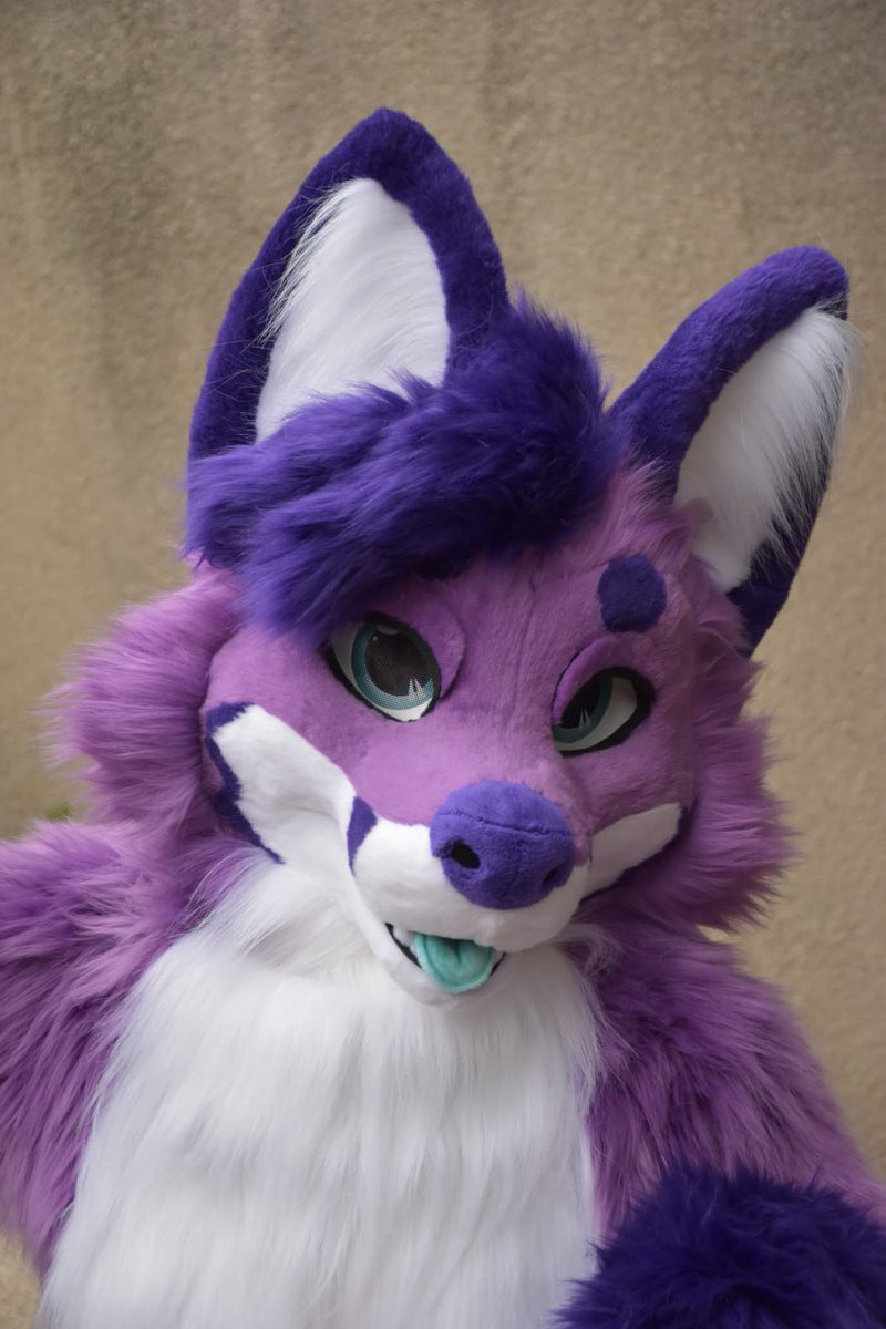 🐺✨Skyehighstudios✨🐺 tweet media