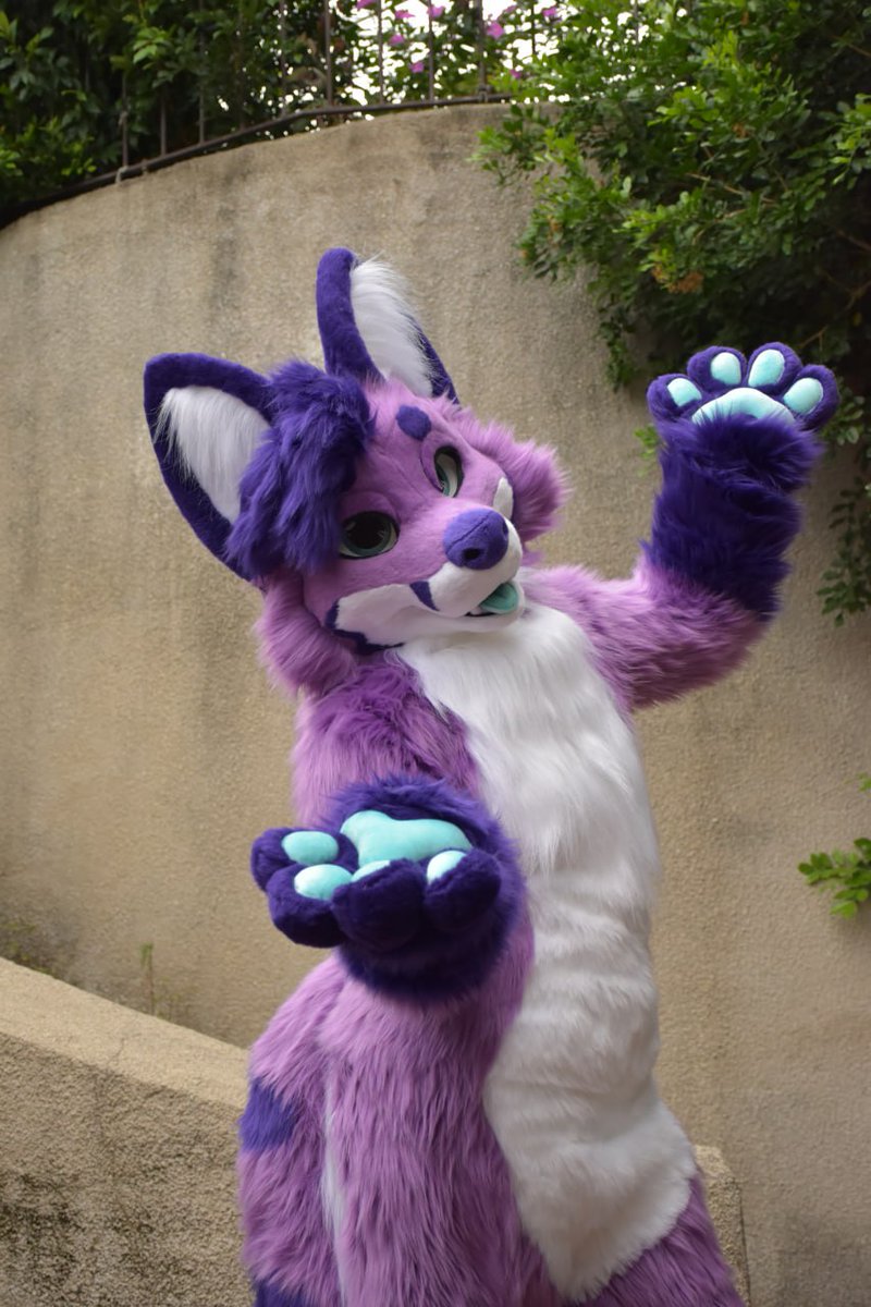 Hexafox is all done! Our first planti bodysuit in a while! I think it suits him don't you? 

#furry #fursuit #fursuitmaker #foxfurry #foxfursuit #plantigrade #fursuitcommissions