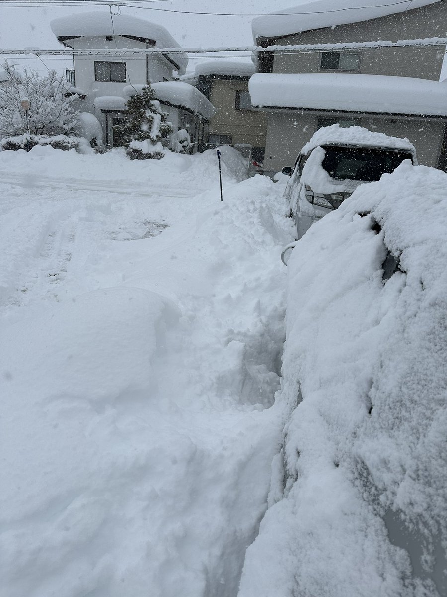 hinokiyaooen's tweet photo. 大寒波やばい…💦
雪をかいても終わりが見えない…
通勤で運転もしんどい…

でも家の中は快適✨
マジで桧家にして良かったと心の底から思う😌
#マイホーム #家作り #桧家住宅 #hinokiya #Z空調 #極楽加湿 #一年中快適 #全館空調 #紹介制度 #割引 #温湿度計 #SwitchBot #気温 #大寒波 #大雪 #雪かき https://t.co/yQ19ZxUKDp