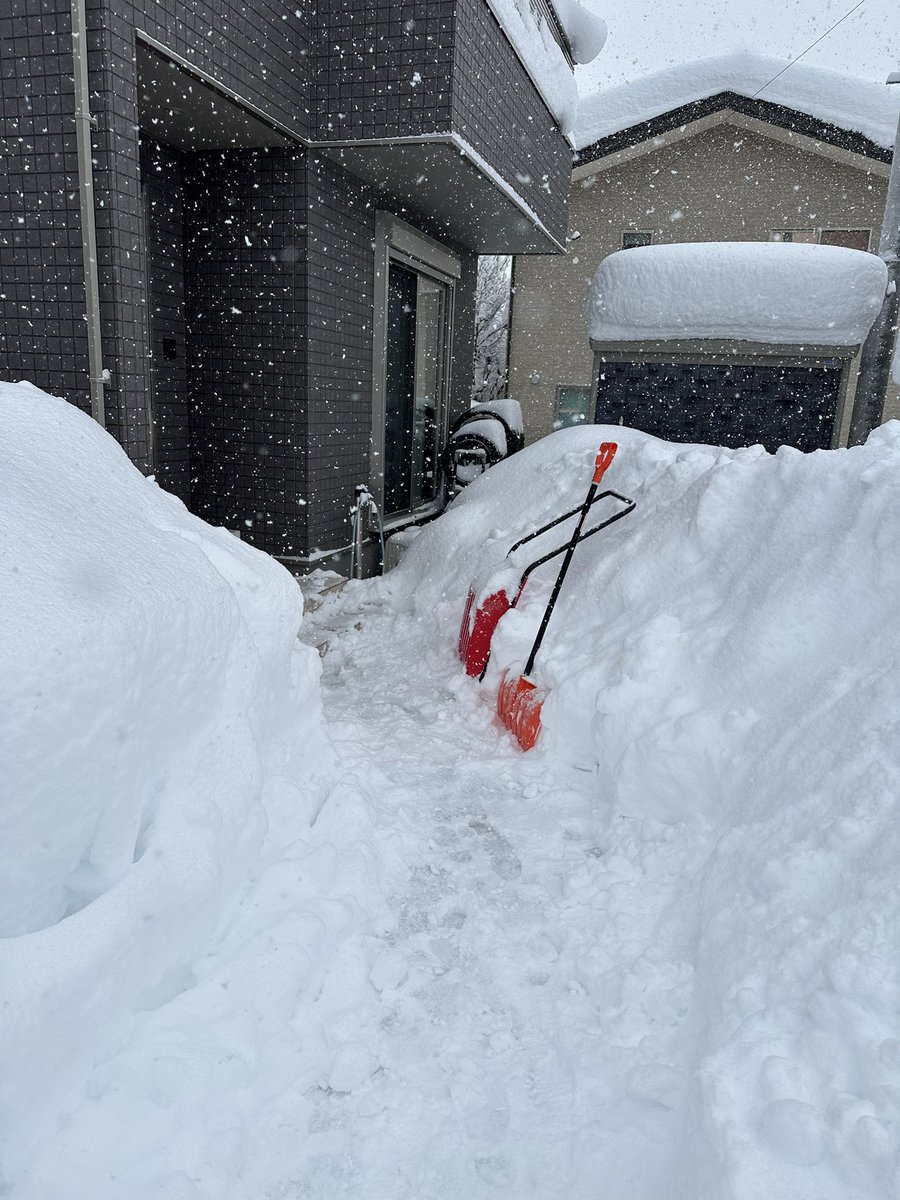 hinokiyaooen's tweet photo. 大寒波やばい…💦
雪をかいても終わりが見えない…
通勤で運転もしんどい…

でも家の中は快適✨
マジで桧家にして良かったと心の底から思う😌
#マイホーム #家作り #桧家住宅 #hinokiya #Z空調 #極楽加湿 #一年中快適 #全館空調 #紹介制度 #割引 #温湿度計 #SwitchBot #気温 #大寒波 #大雪 #雪かき https://t.co/yQ19ZxUKDp