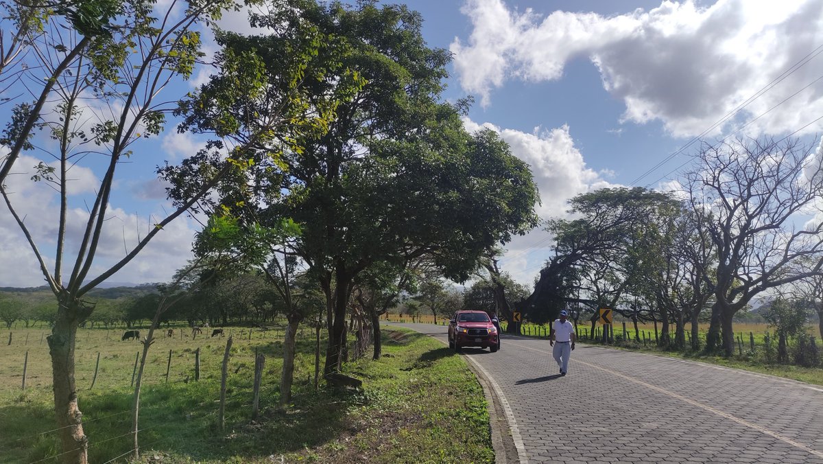 Efectuamos inspección en atención a solicitud de permiso especial de poda para mantenimiento vial en el tramo Juigalpa - Puerto Díaz, en Chontales.

#AmorAlaMadreTierra