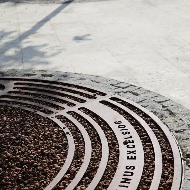 El diseño de los alcorques en tu ciudad es proporcional al conocimiento sobre los beneficios socio-ecosistémicos de los árboles.