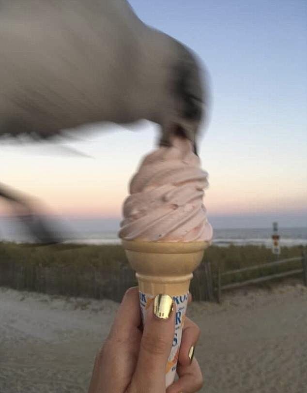 Out of Context Birds tweet media